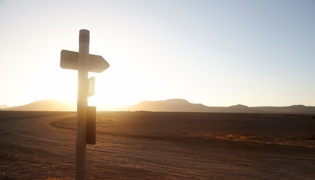 An image of a barren road with a street sign that looks like a cross, pointing the way.